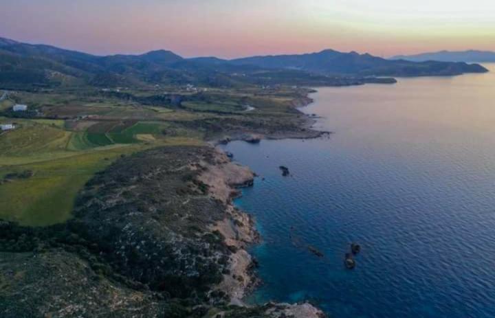 'Sophie'S Villa' Akrotiri  Dış mekan fotoğraf