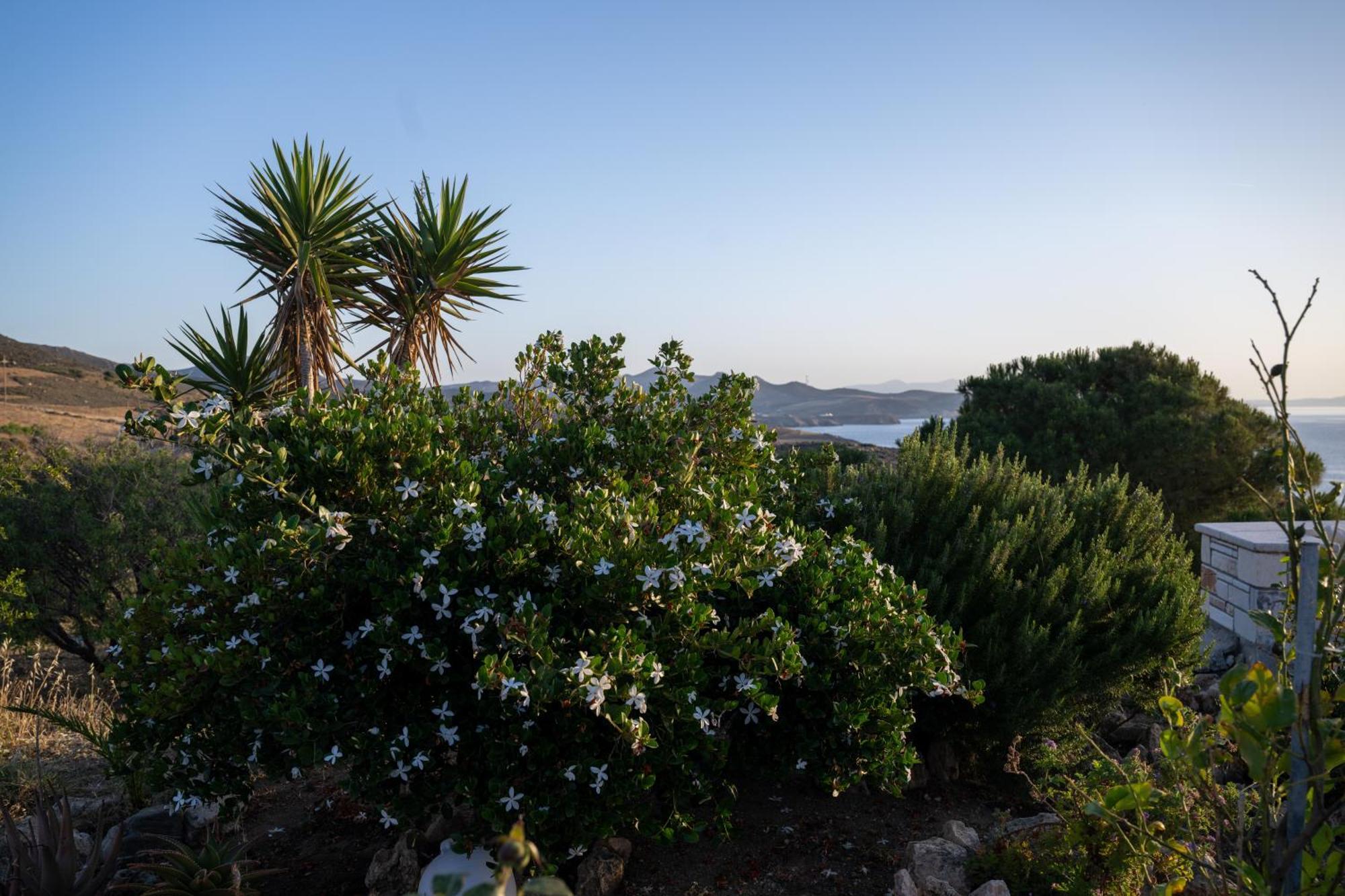 'Sophie'S Villa' Akrotiri  Dış mekan fotoğraf
